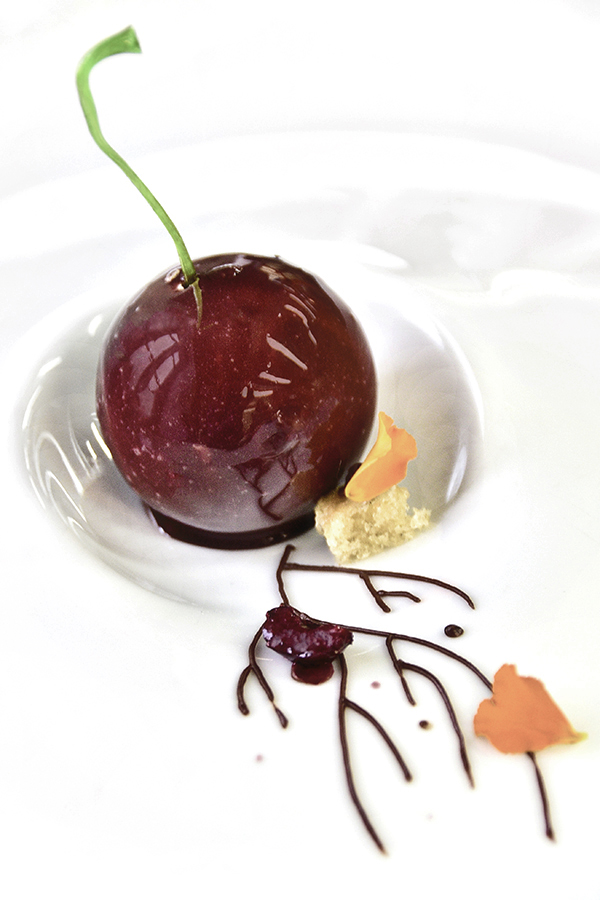 015LUZY WEB DEC20151